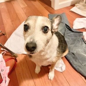 Meet your Posher, Chiquita